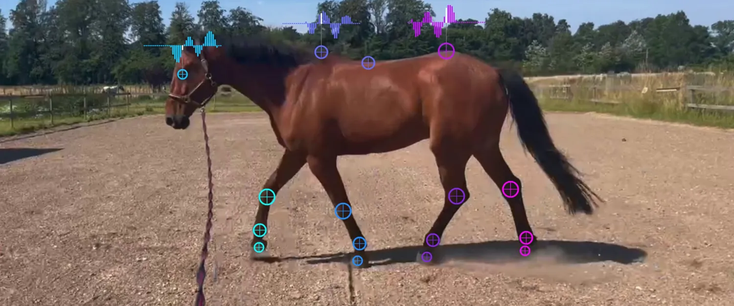 Horse lameness assessment based on key-point frequency analysis