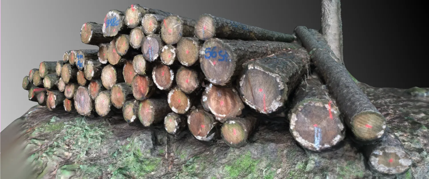 Metric measurement of forest effects using 3D reconstruction and analysis