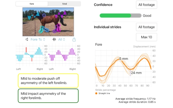 RealHorse app showing stride symmetry graphs and an automated lameness diagnosis