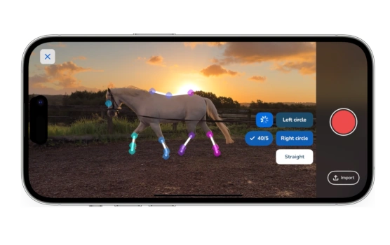 iPhone screen recording a horse trot with live key-point tracking overlay