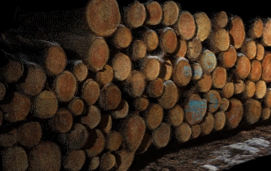 Reconstructed timber stack point cloud